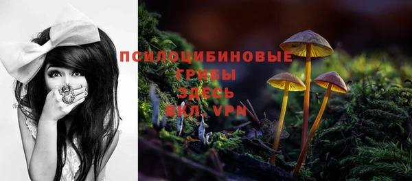 соль курить ск Алексин