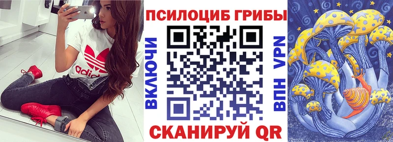 Псилоцибиновые грибы прущие грибы  хочу наркоту  Заринск 