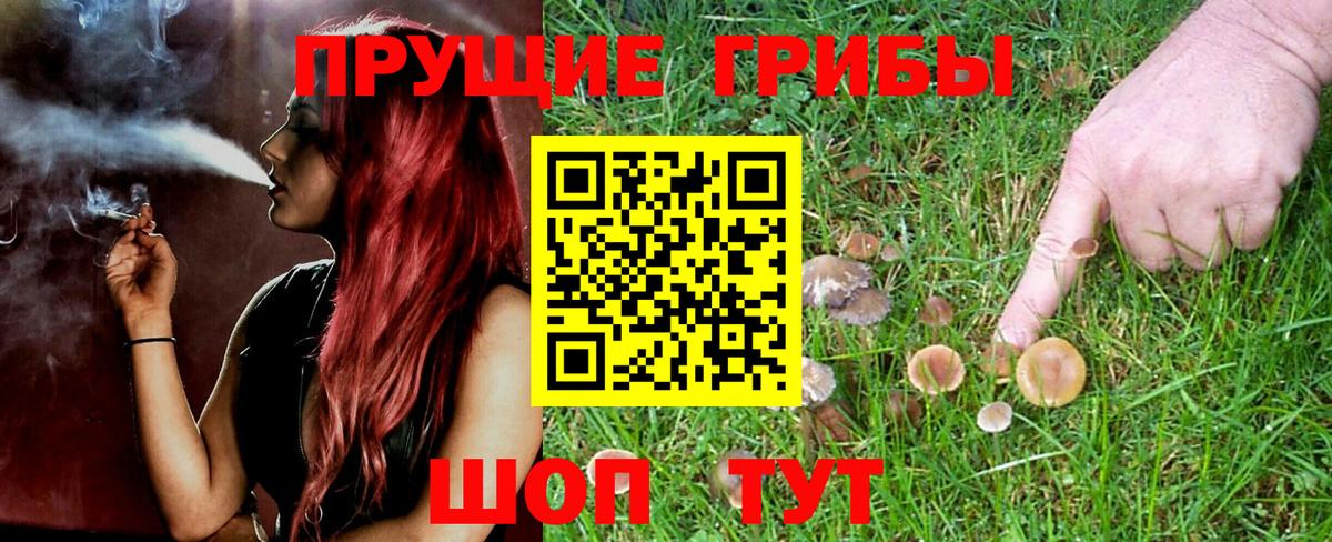 Псилоцибиновые грибы Psilocybine cubensis  Галлюциногенные грибы мицелий  Вход с VPN  Заринск 