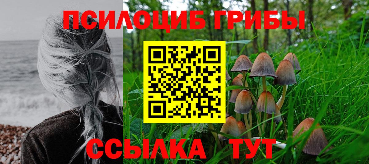 Псилоцибиновые грибы Magic Shrooms Заринск